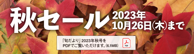 秋のセール実施中！