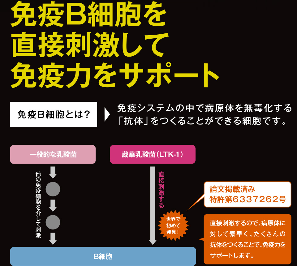 免疫B細胞を直接刺激して免疫力をサポート