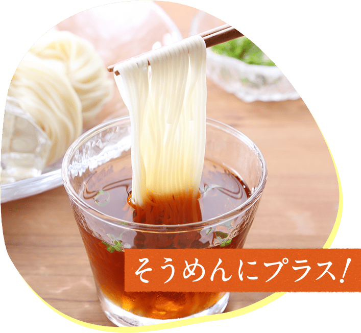 そうめんにプラス!